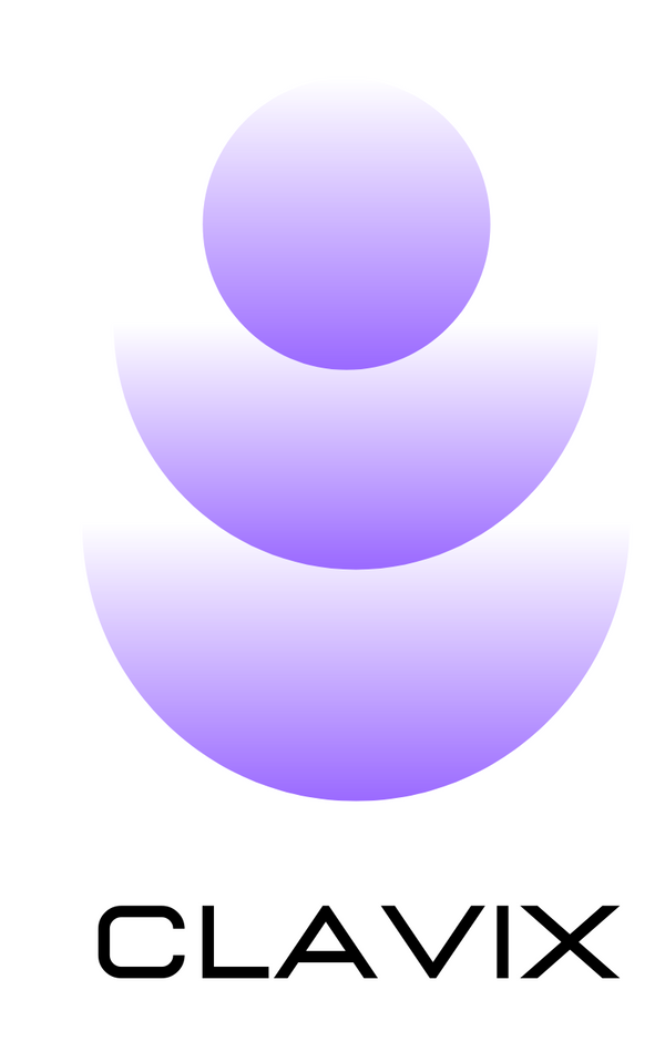Logo of CLAVIX with a stylized design on a white background